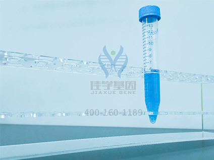【佳学基因案例】家族性高胆红素血症基因检测、基因解码